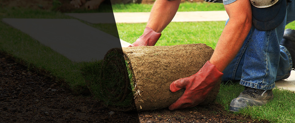 Fergus Falls Landscapers